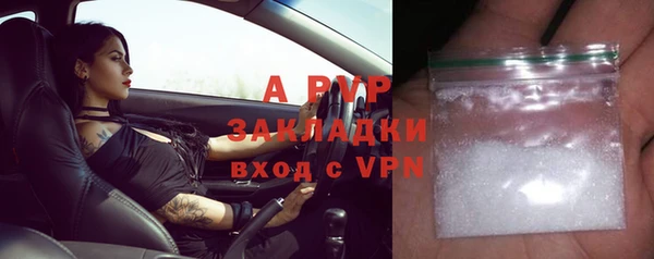 PSILOCYBIN Семёнов