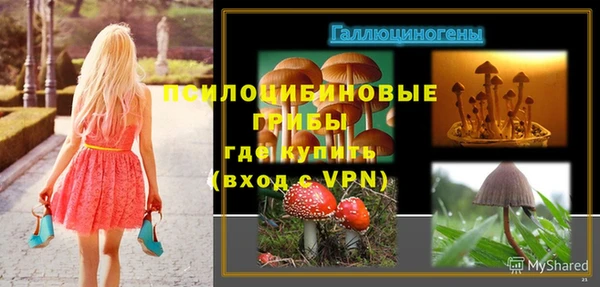 a pvp Богородск